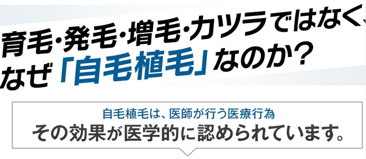 �y�A�C�����h�^���[�N���j�b�N�z�ɂ���